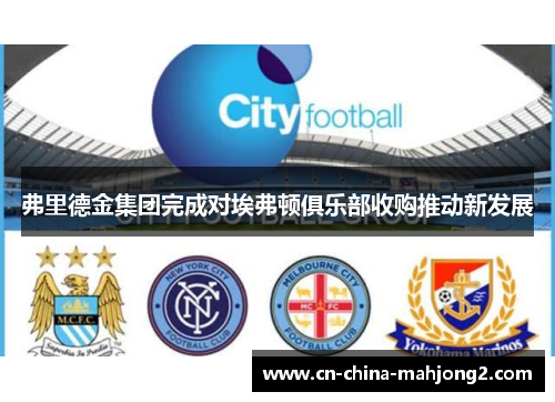 弗里德金集团完成对埃弗顿俱乐部收购推动新发展