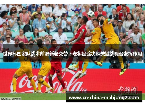世界杯国家队战术前瞻新老交替下老将经验决胜关键战舞台发挥作用