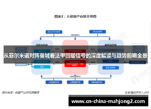 从菲尔米诺对阵曼城看法甲回暖信号的深度解读与趋势前瞻全景
