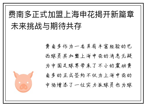费南多正式加盟上海申花揭开新篇章 未来挑战与期待共存